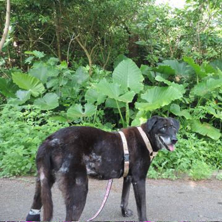 75678204 41cd 49cd 923b 5ce9c4d57345