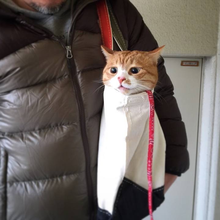 75678b76 ab5f 48e3 827e 27fab79cf3fe