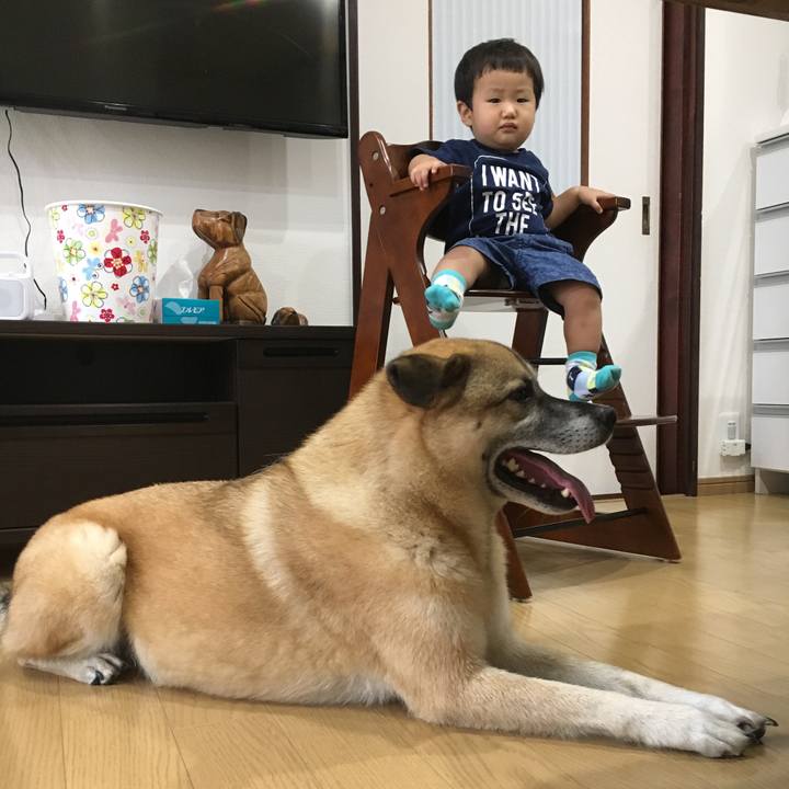 75681514 ea87 4bc6 8b2f 95df6299913a