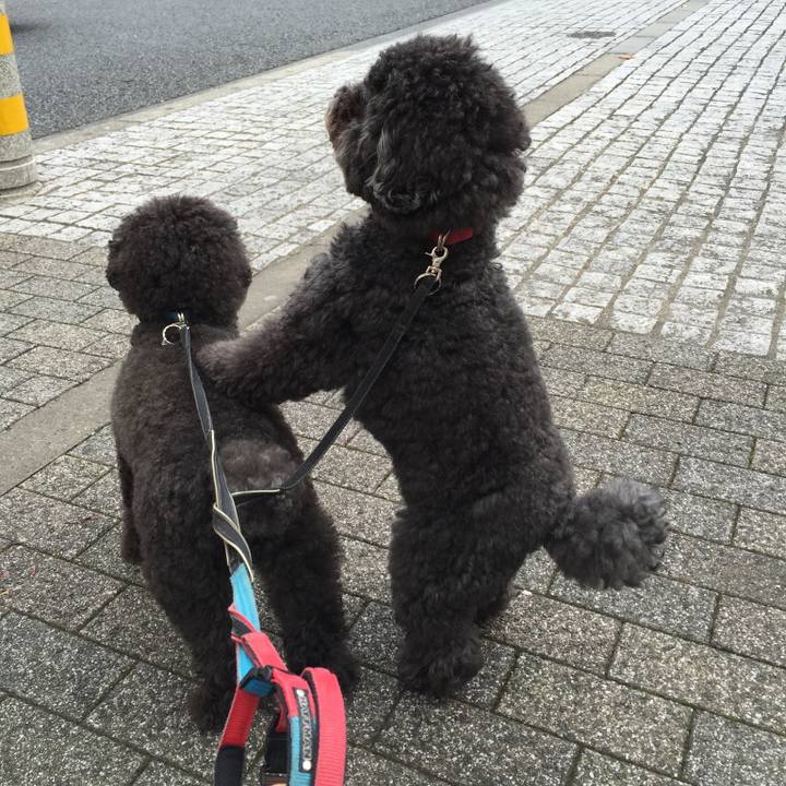 756829b1 20cf 4adb 8a9e d06f43fbaeb0