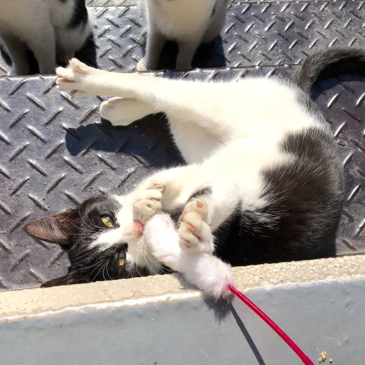 7568a9b6 e4d5 45d1 9bdd 57c5914995d7