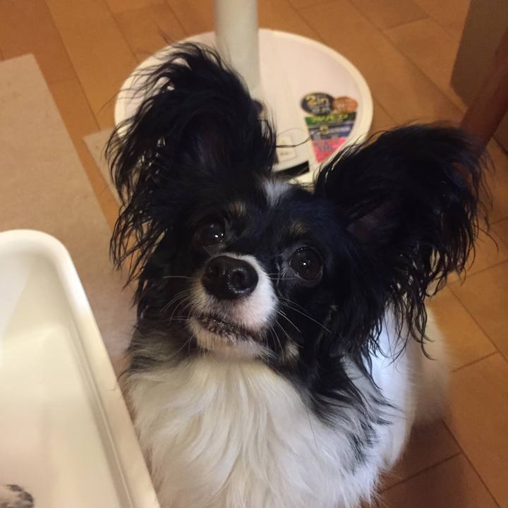 7569588a 5bd5 4c2e 959a ac4048ca559c