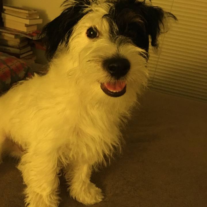 75697871 7ffd 48bc a60d a1565d427d17