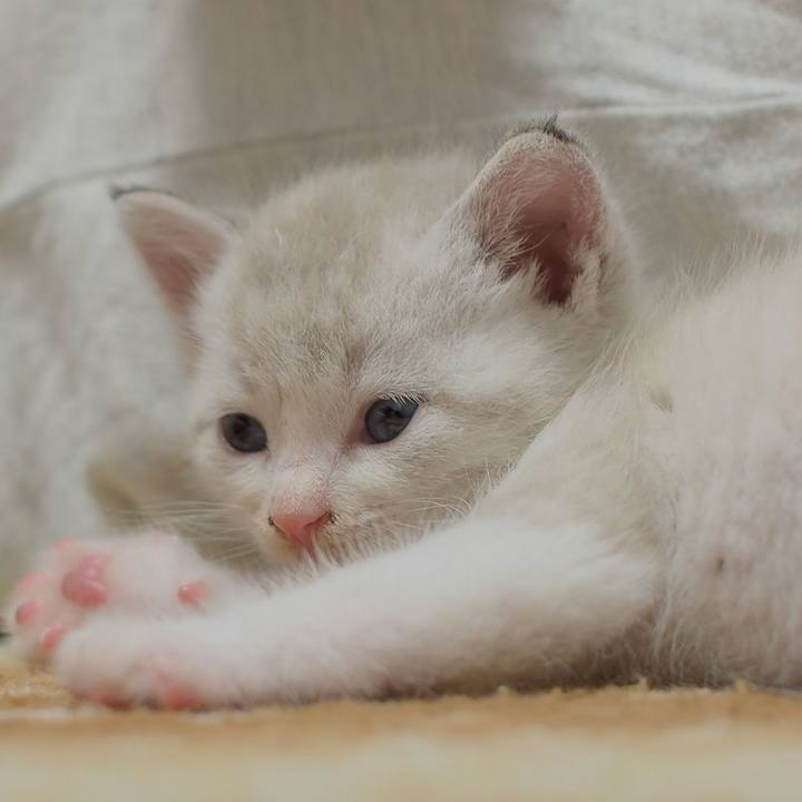 75698427 10c7 4fd4 b849 268a4a851e33