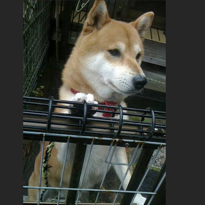 7569869b cd43 4fa8 8acf c35bb1b05c4e