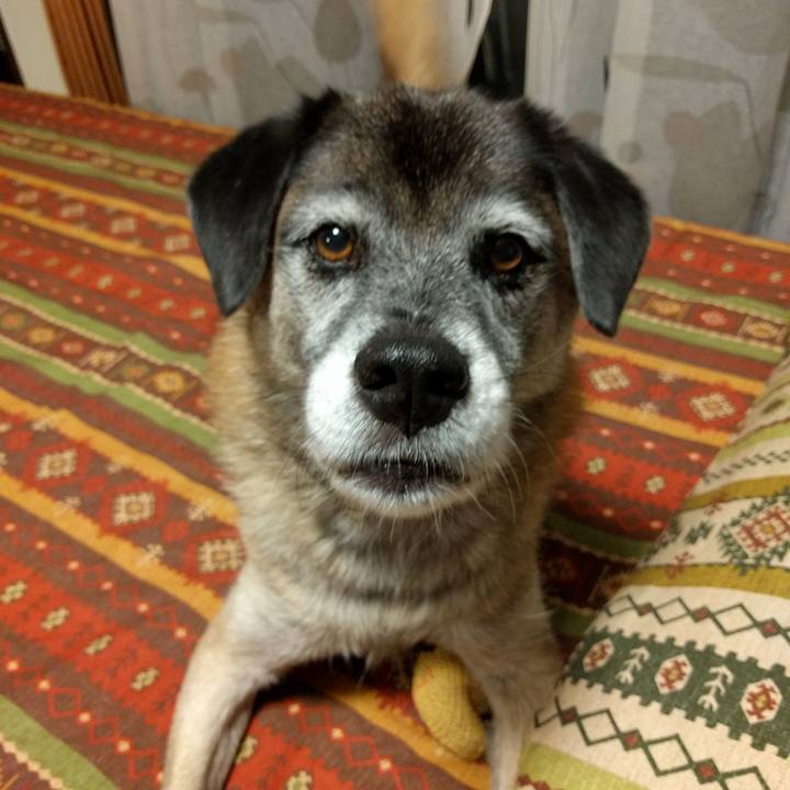 75698ecd b530 4ddf ba98 67381890245e