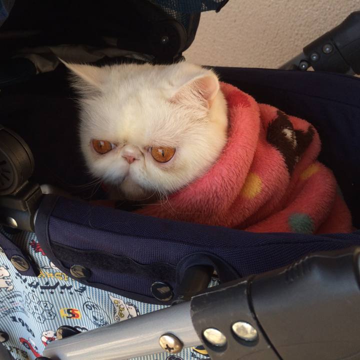 7569c37e f7a2 4d82 aaf3 819536244d5b