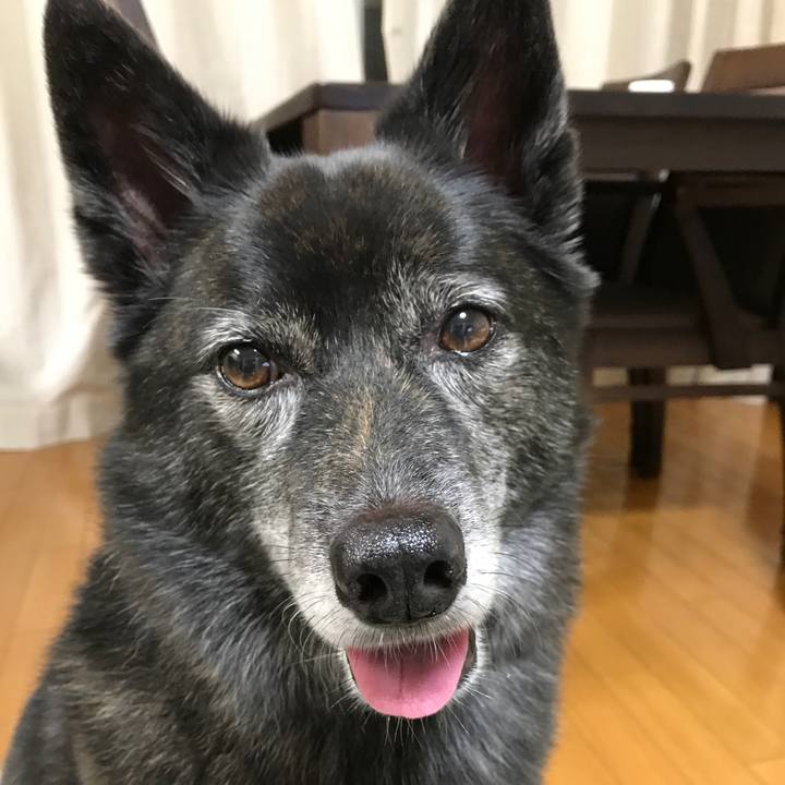 756a0839 653a 4a66 9440 8b73bbfde9cf