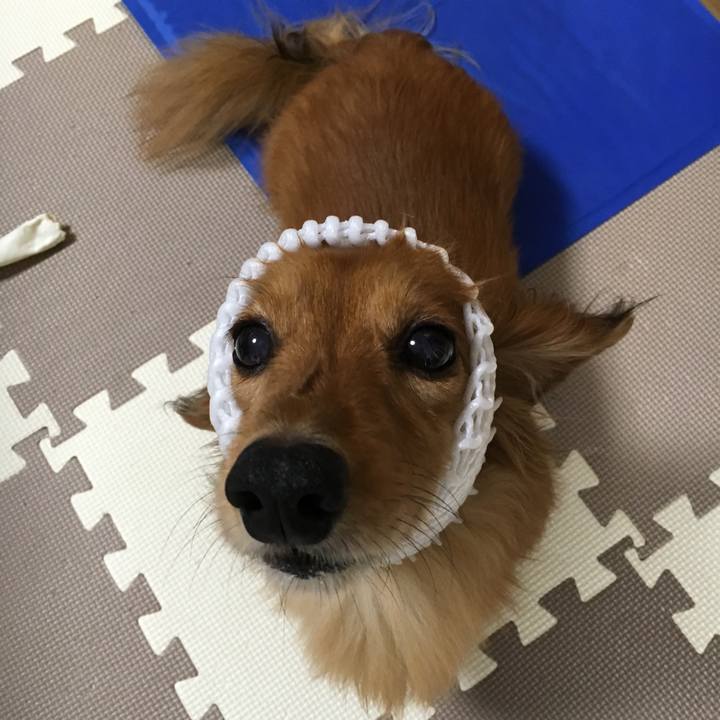 756a2d6b 5c83 4499 a39a 013a33ecb644