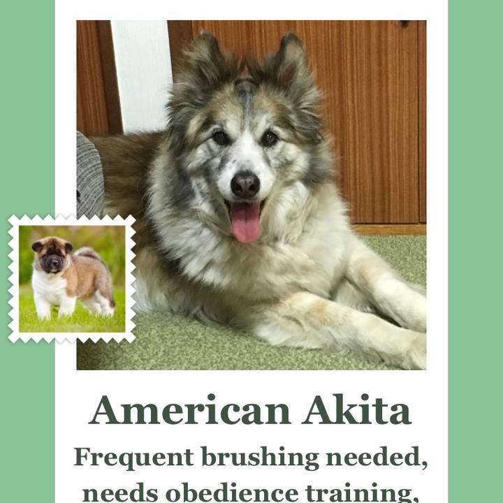 756b27cc 6ce3 46ca b1bf c758baab047d