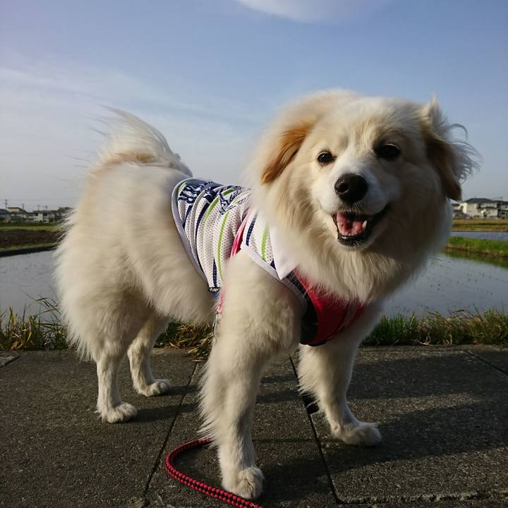 756b6eda 1f34 438c 9ffd 03761b1fbc7f