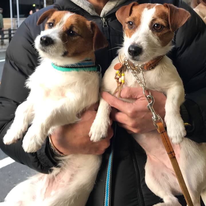 756c12be 4162 477a 8ab9 29c79b4a4303