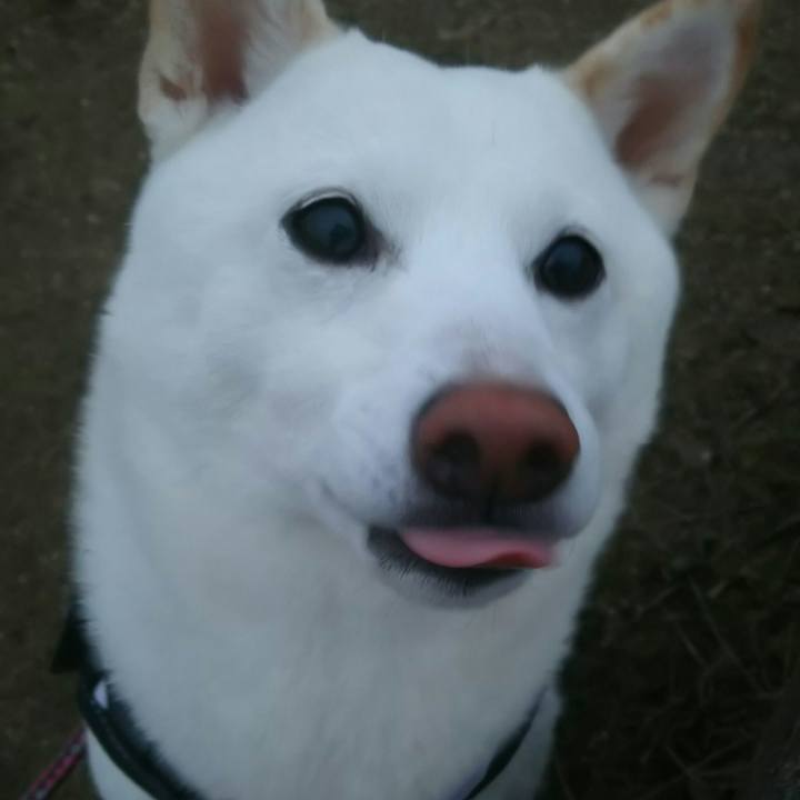 756c768f a34b 4729 a739 89793e4e55e3