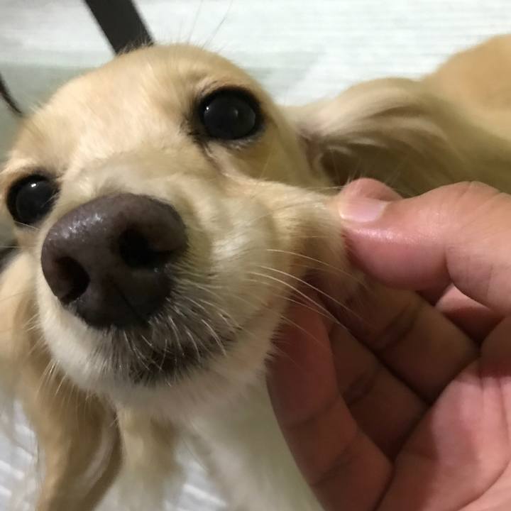 756d9645 0def 4837 b0b6 b521b98212eb