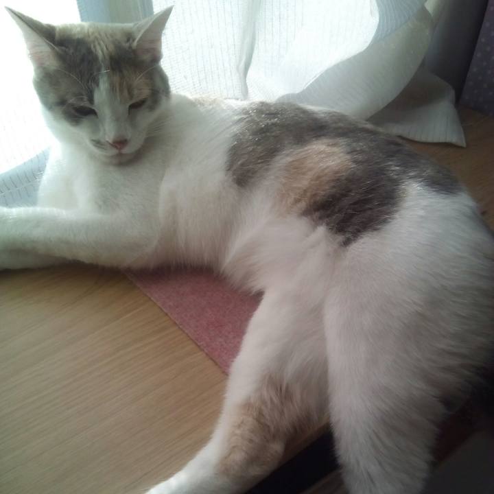 756e1237 35a7 4665 8009 a81dc5d289ef