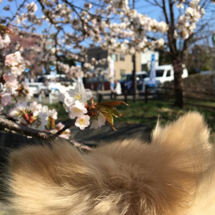 756e6f25 3e2f 4b7b ad97 1ae2173d5175