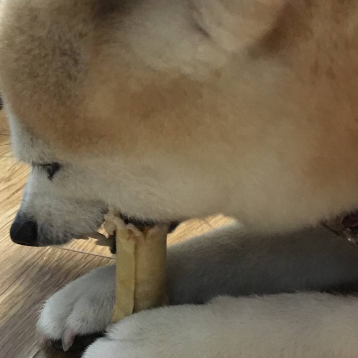 756f3b0b e344 4e3f 8488 7b6e21e846d6