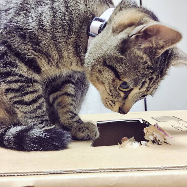 7570c914 2132 422b a0c4 c0d78343cc43