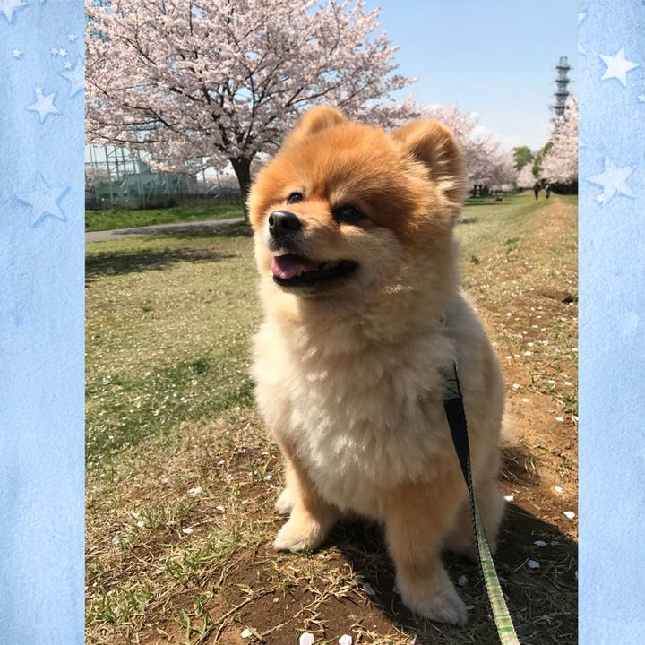 7571a696 ab18 4ad7 892c 1dd63d691c34