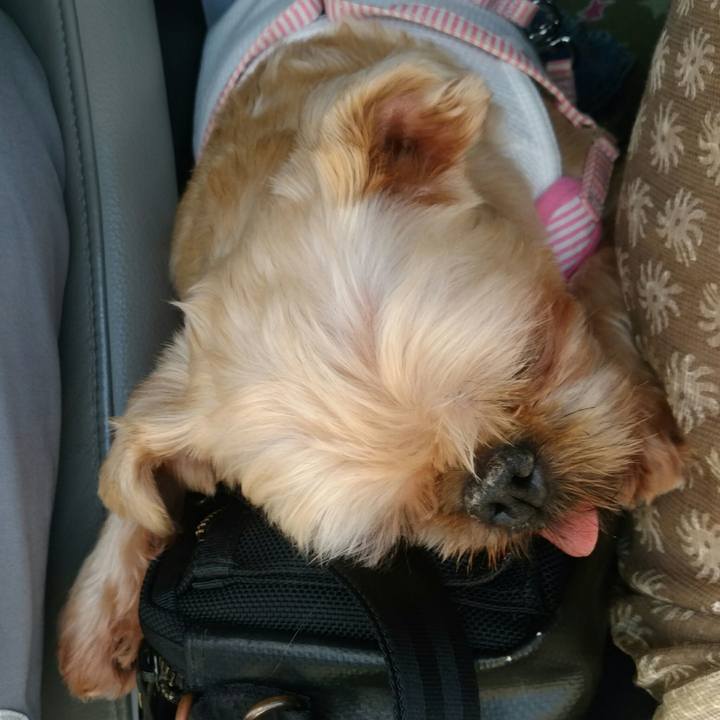 7571b7c4 ef2a 40e9 8a91 a0d67c855600