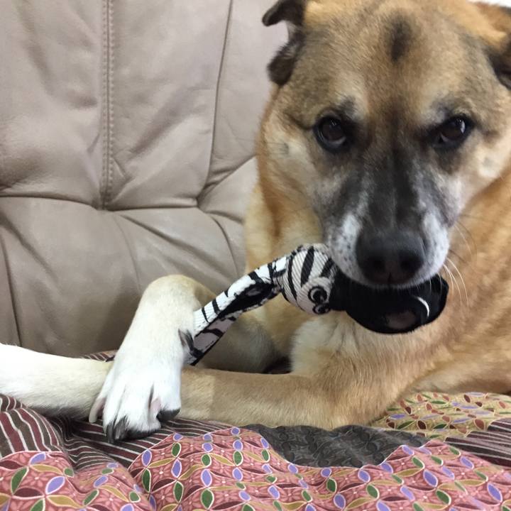 7571c03f 21de 466f 8c6d ecb140e60cea