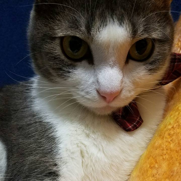 757270a2 d7cc 4aca 8603 ebdf3290859e