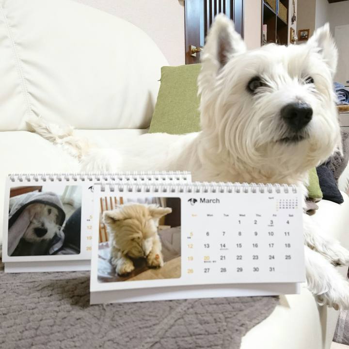 7572aa8b 5334 48b3 8d40 6bcc74f1fc61