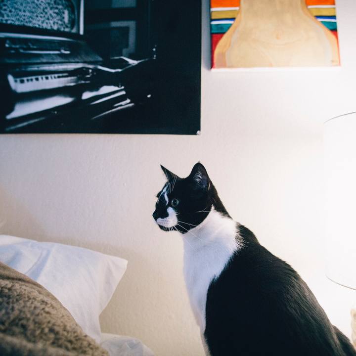 7572b6d6 a5d9 4dae a2d6 671c7392966c