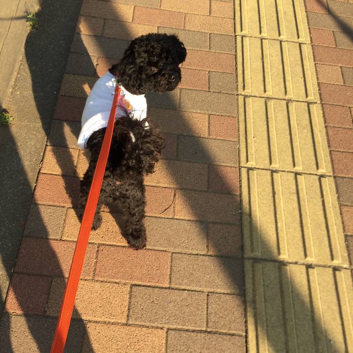 7572b9ac af75 4069 8ac8 82ea518aef40