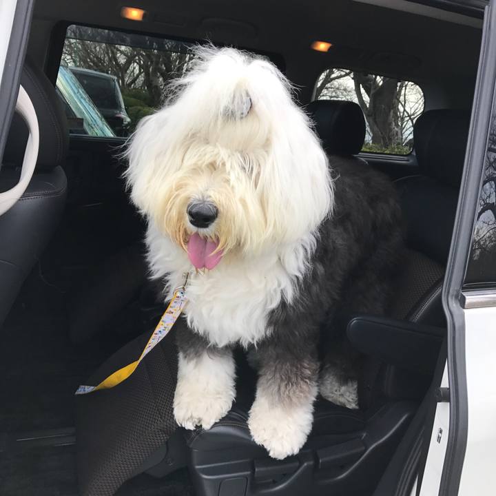 75732672 b85e 4e0a a986 8a34117d2f2b