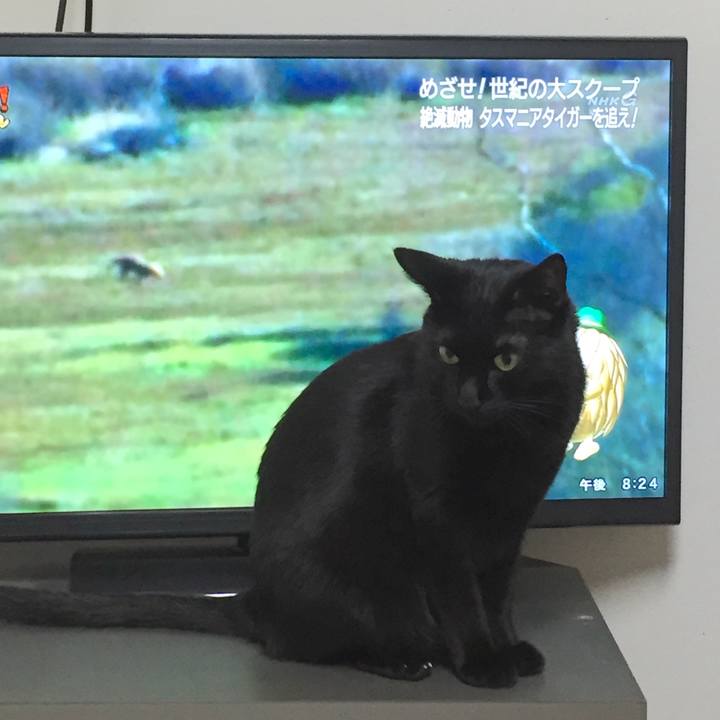 75734e65 ac42 48f7 a091 ce73fc3fec08