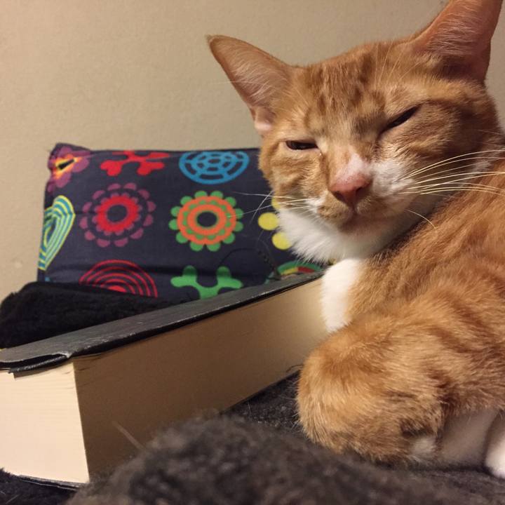 75737c2a 9865 4f73 8c28 4409c9085bb8