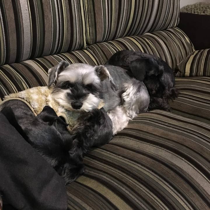 7573a77f 429d 4f98 afd8 a92f50ac87e4