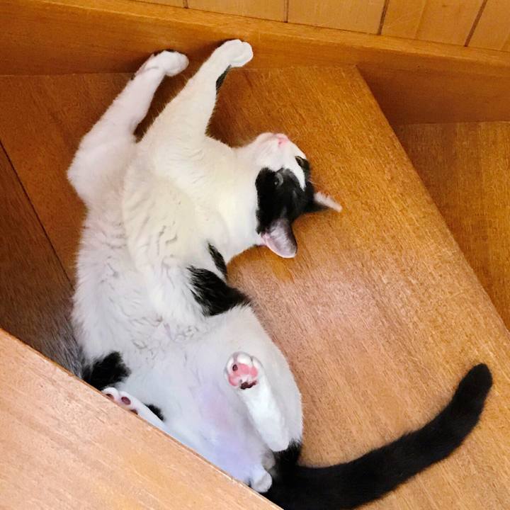 7573acee 3685 4e20 bc41 184dd51542e4