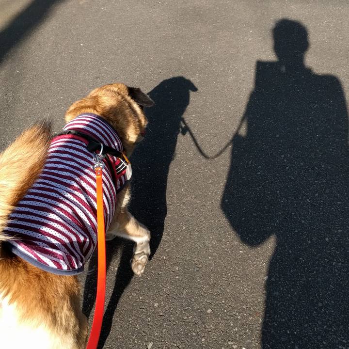 75742863 8907 4aed 9167 cf60a5f2cdd2