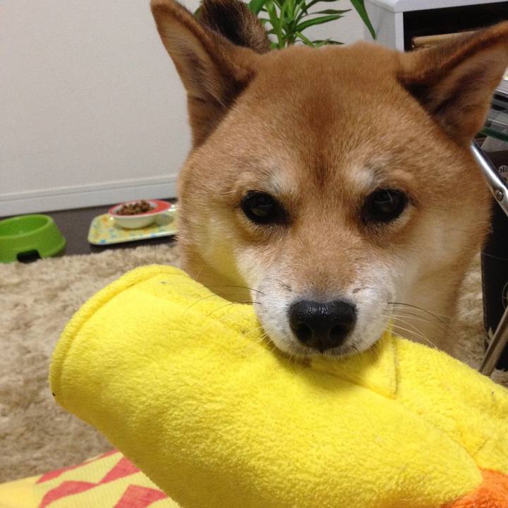 757459c8 f0f8 4c3c b32f 71f4dc6d70d8