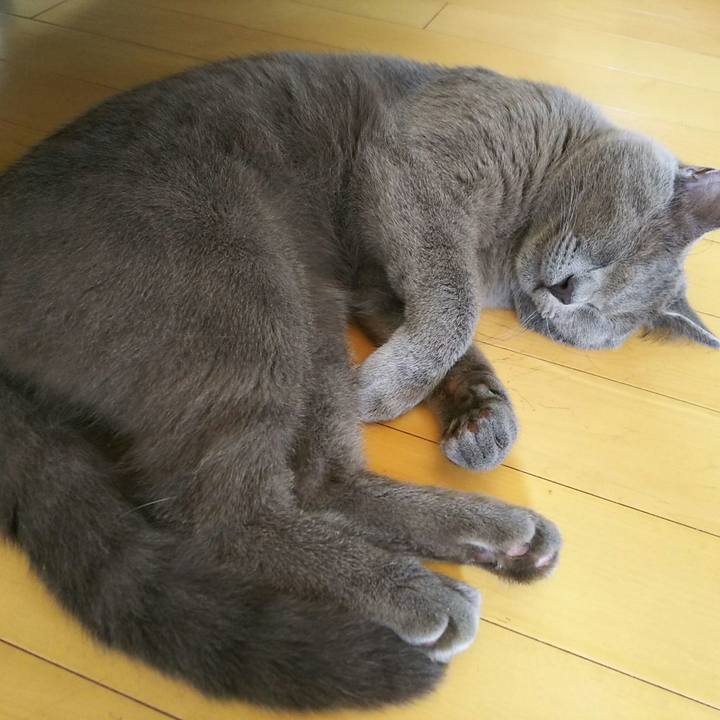 7574a6cf 9c36 42b9 a6b7 1e833e3a0508