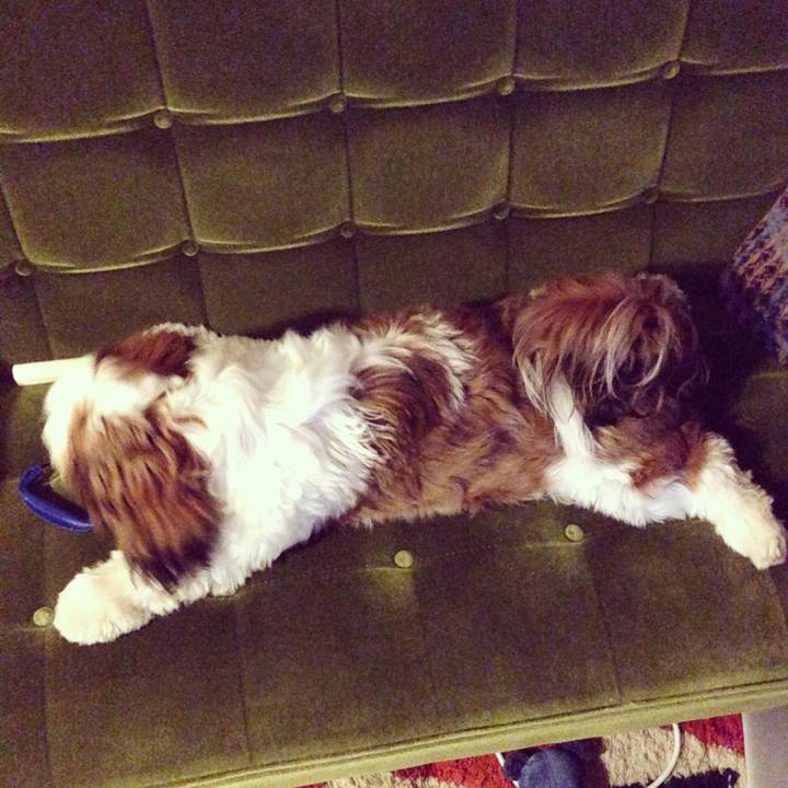 7574b667 94a0 4f97 8b07 d5a131704f44