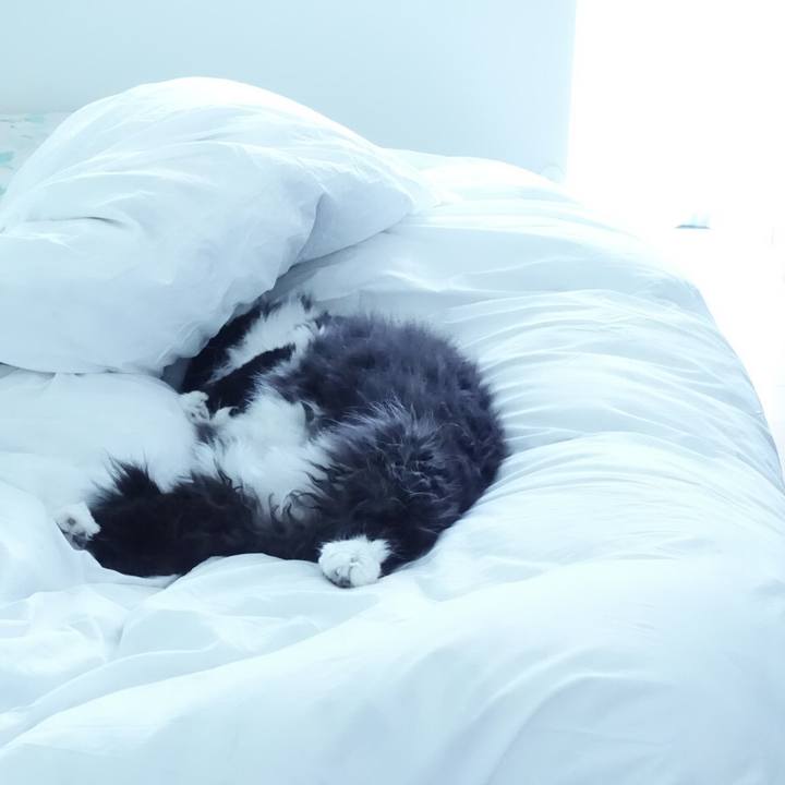 7574e015 804a 4d71 9111 e0667384d5bd