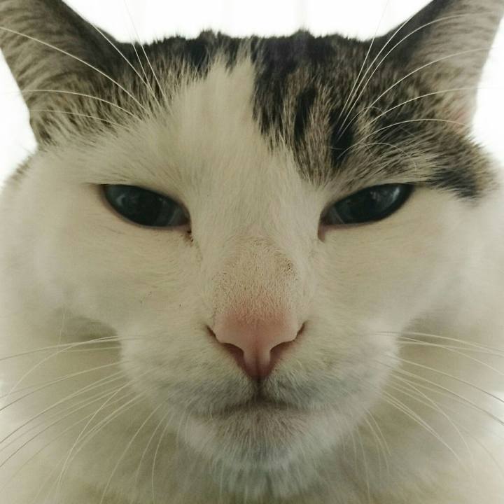 75750d2a 0de5 424c b44e 6ee88f0d1da4