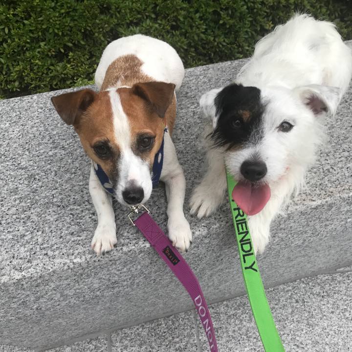 75750e25 7ef2 40f9 b5ef 65518ec31653