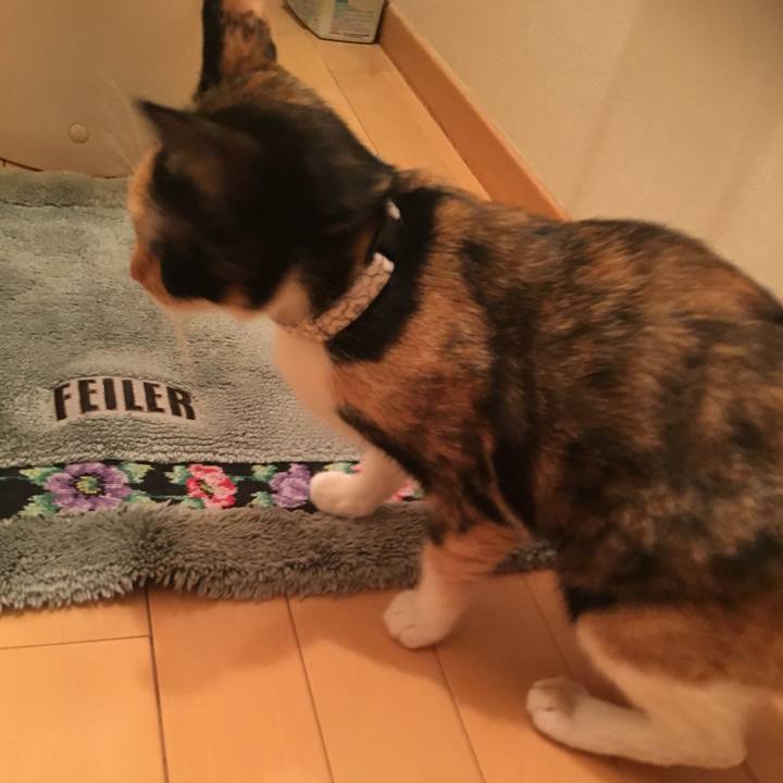 757538e6 b817 463e 9ad7 55e2c8b7e90d