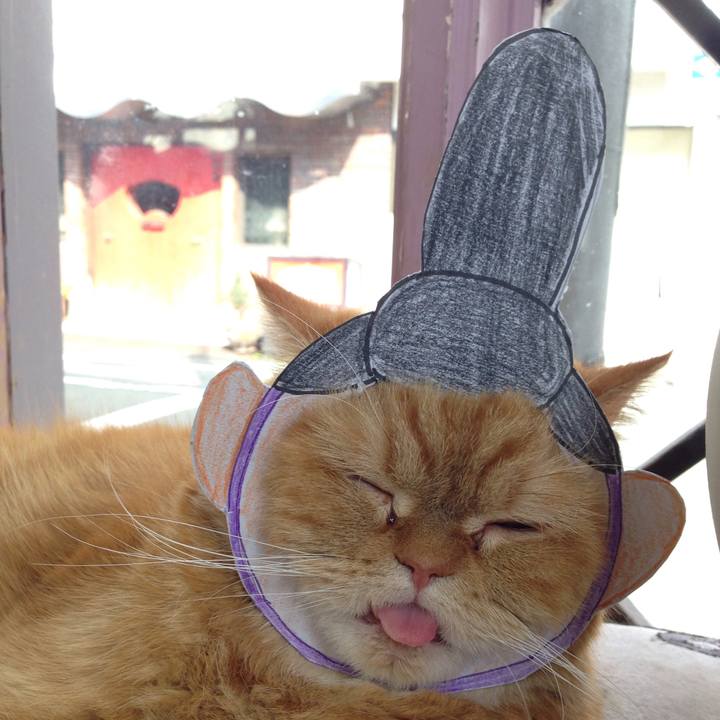 7575909c e931 4598 9b1f c47f10f3a072