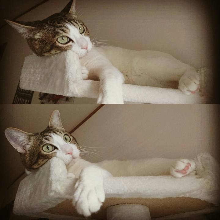 7575bce7 55ed 4f14 aa73 503d65e64483