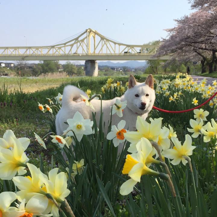 7575c059 12c7 464c ab99 9f7f77eca4be