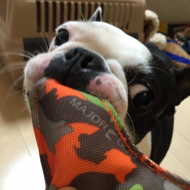 75760166 5917 460c a097 09ebb7819948