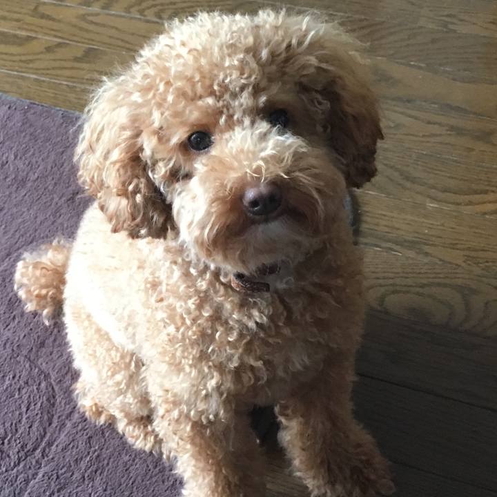 7577f161 97b1 4297 8685 bf60b0543681