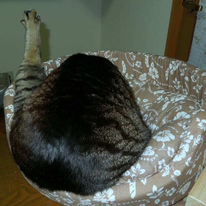 75786f89 26d1 4eab b0b0 92c036499733