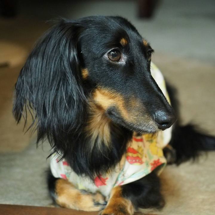 7578c4a7 3d29 4c7a 8a3e 6d6a0be8fbf7