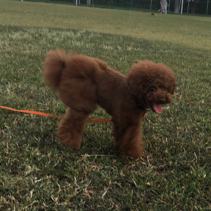 7578f808 84e3 41c1 b3ab 5ce931f0884f